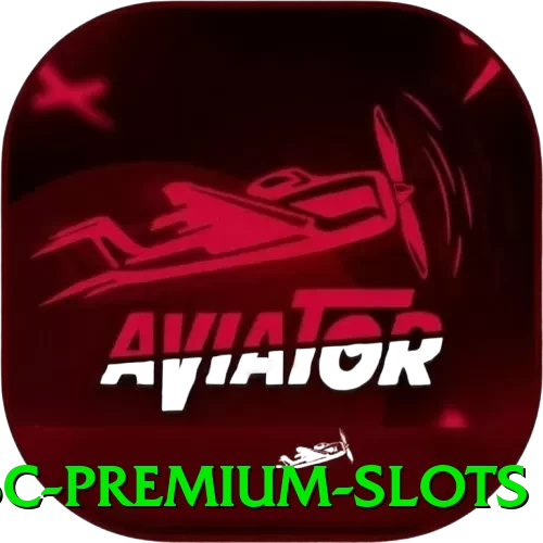 555c Premium Slots - ⚡ apk