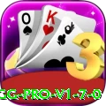 81gg Pro v1.7.0