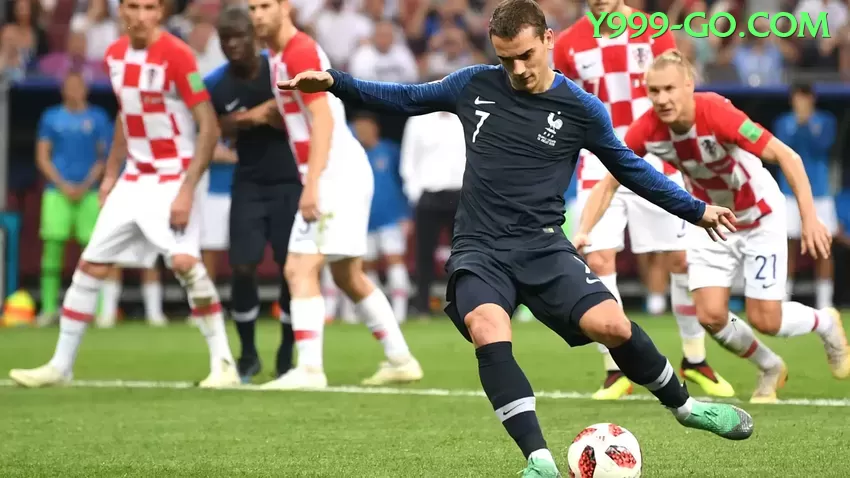 Descubra contavip: Guia Prático Para Iniciantes e Experts - plataforma